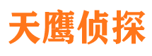 南岸侦探调查公司